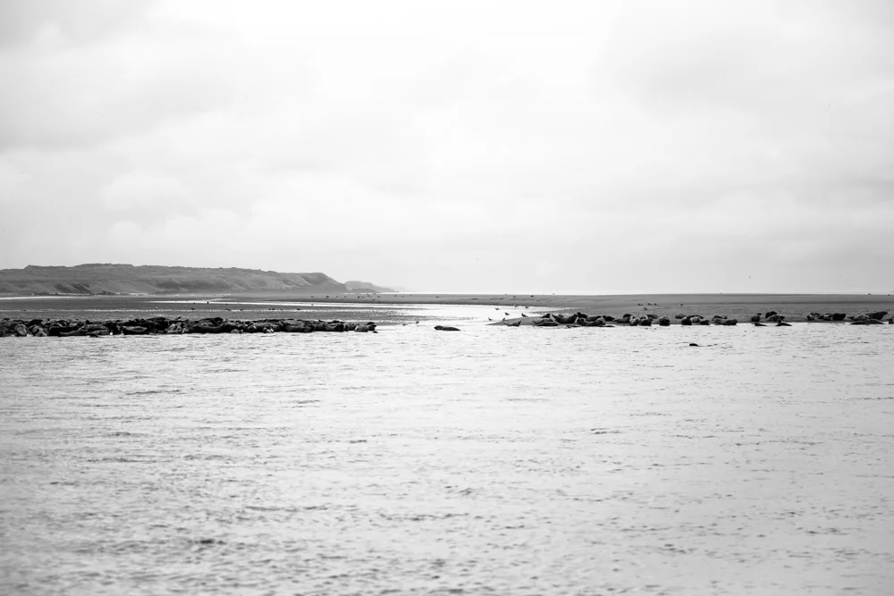 _S0A3438.jpg