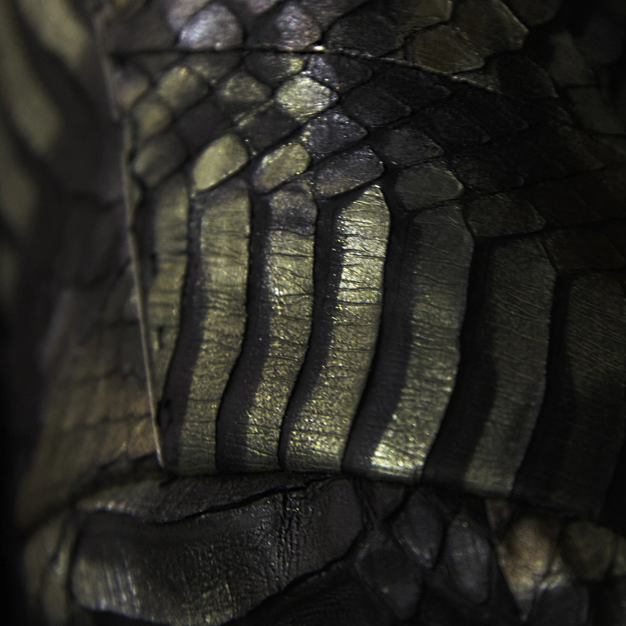 JACKET CLOSE UP.jpg