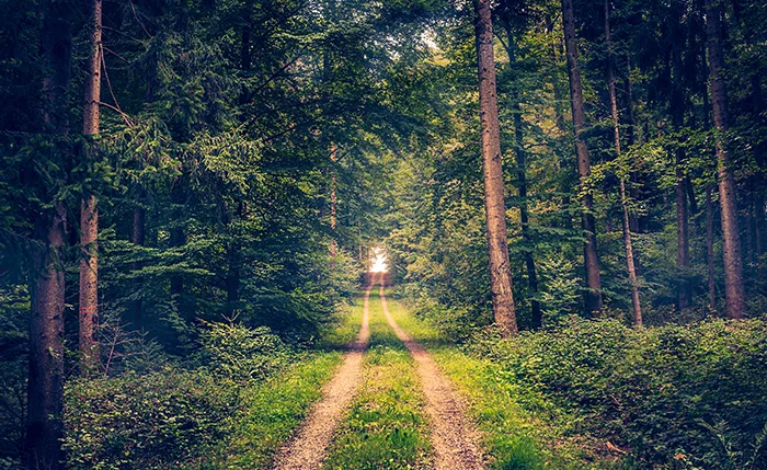 Credit: Alex Flash on Unsplash