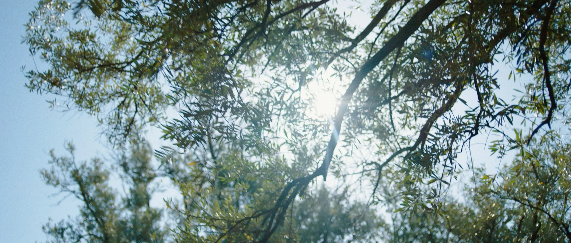 AMANJENA---STORY-OFFLINE-V7-30.04.18-LONG-FORM-GRADED-V2-Apple-ProRes-422-HQ-0043.jpg