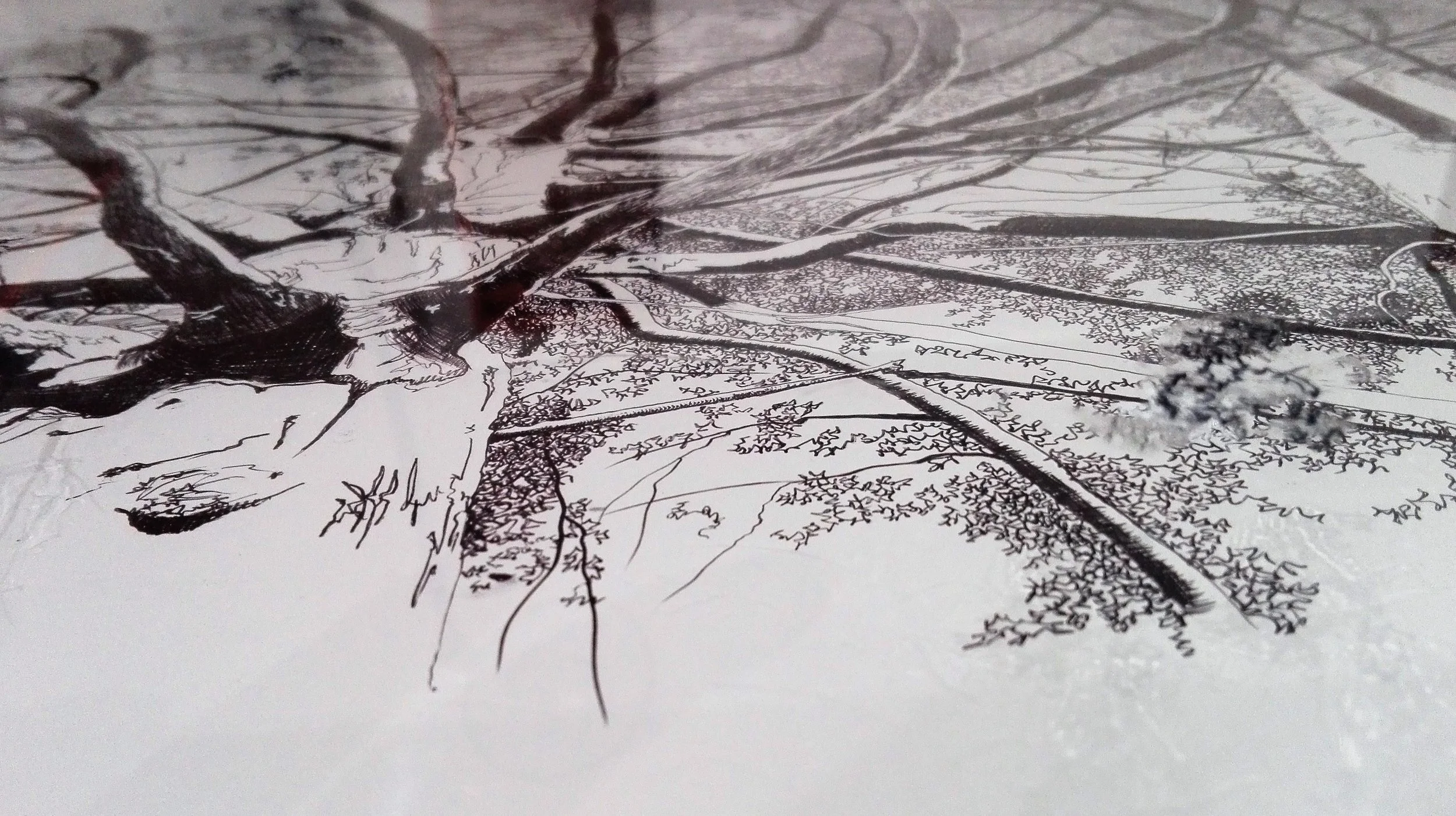 Mirant al cel (detall) Bolígraf Bic d/paper de pedra i rotulador permanent d/vitrina de metacrilat 69x101,5cm