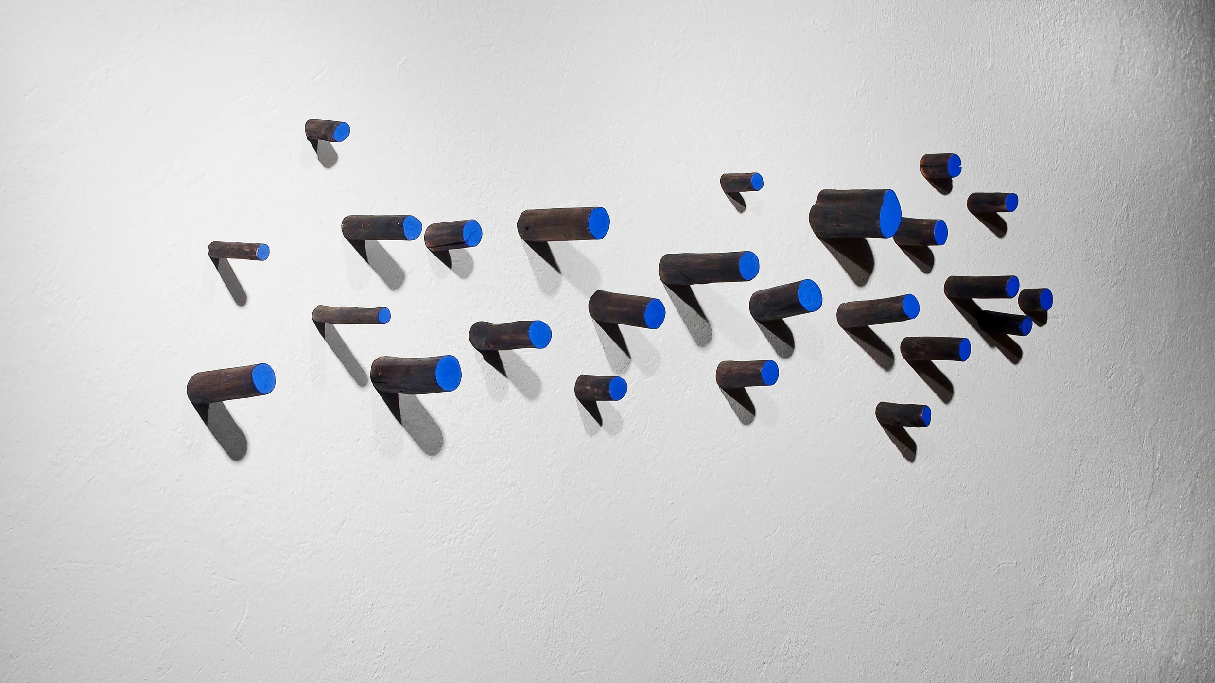 Cielo quemado Madera quemada y pigmentos, 2016 Medidas variables