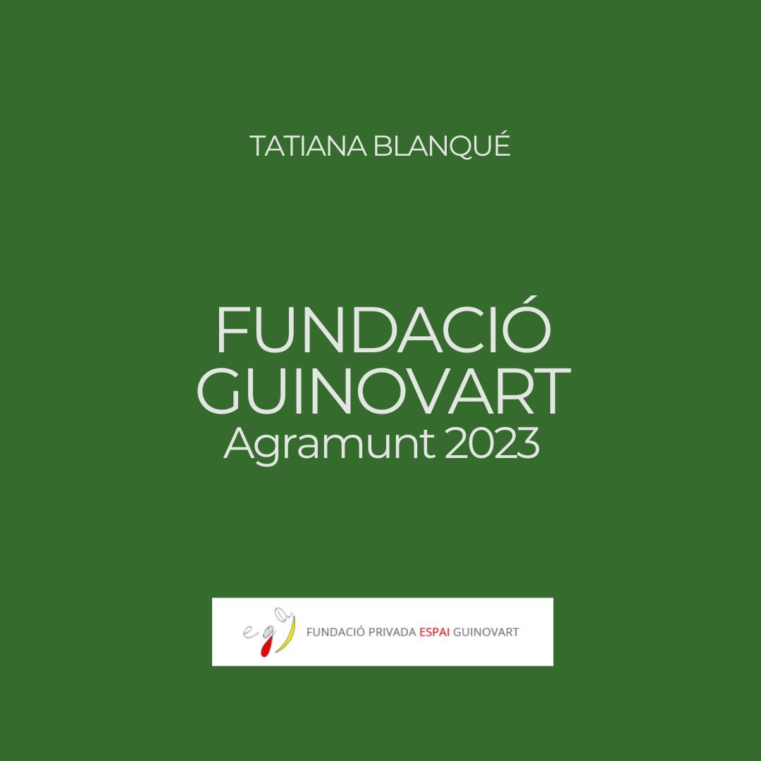 FUNDACIÓ GUINOVART Agramunt.jpg