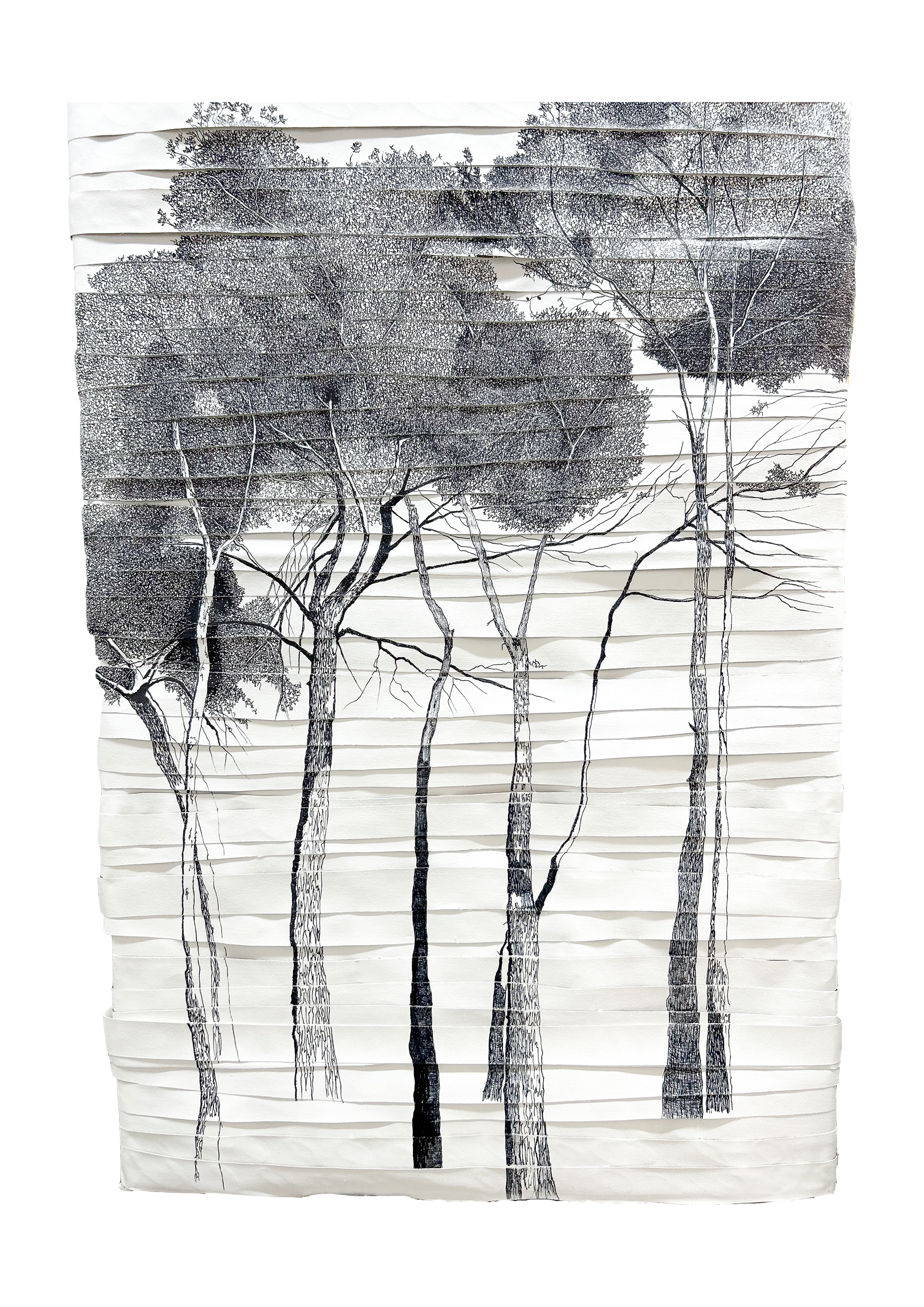 1 Interferencies Blanc i negre I. óleo i rotulador permanete s tela recortada 101x67cm 3100€ PVP.png