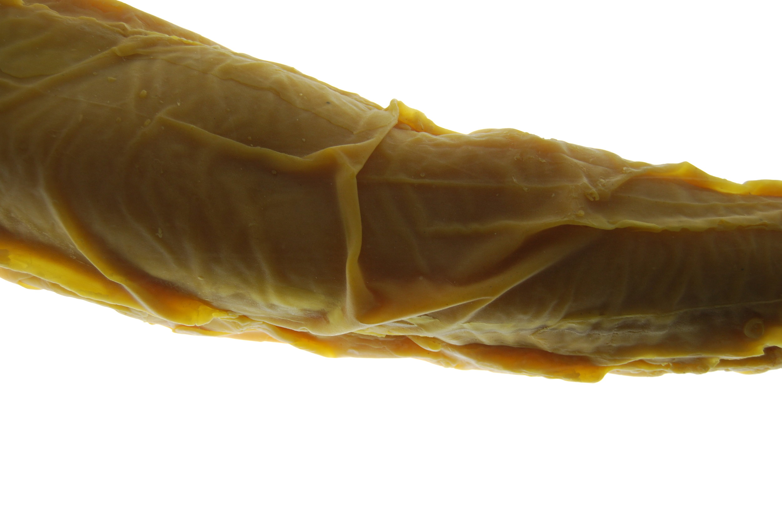 involuntar memories_coreconcept.JPG