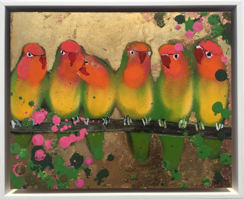 Orange faced lovebirds