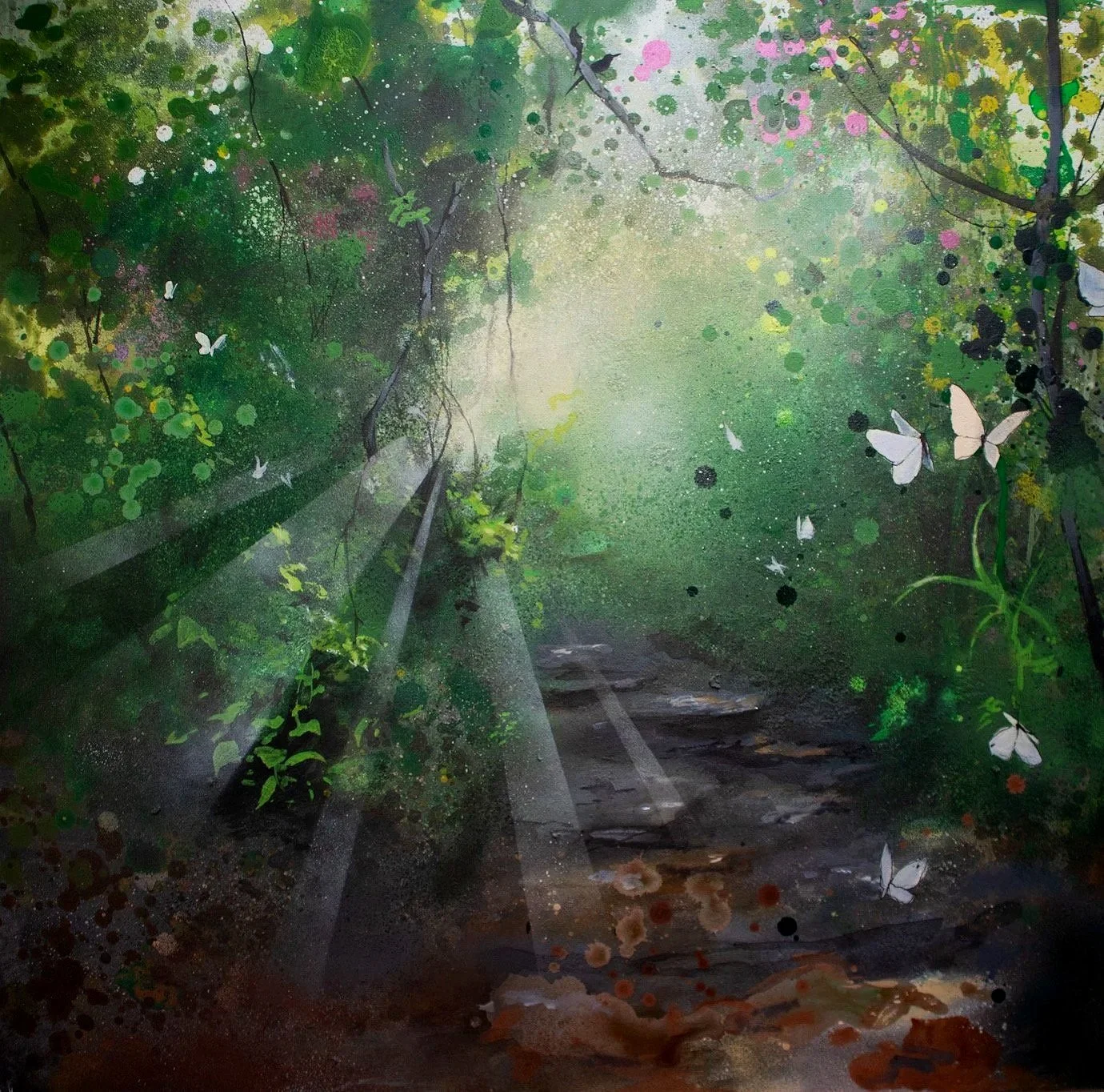 Morning light
