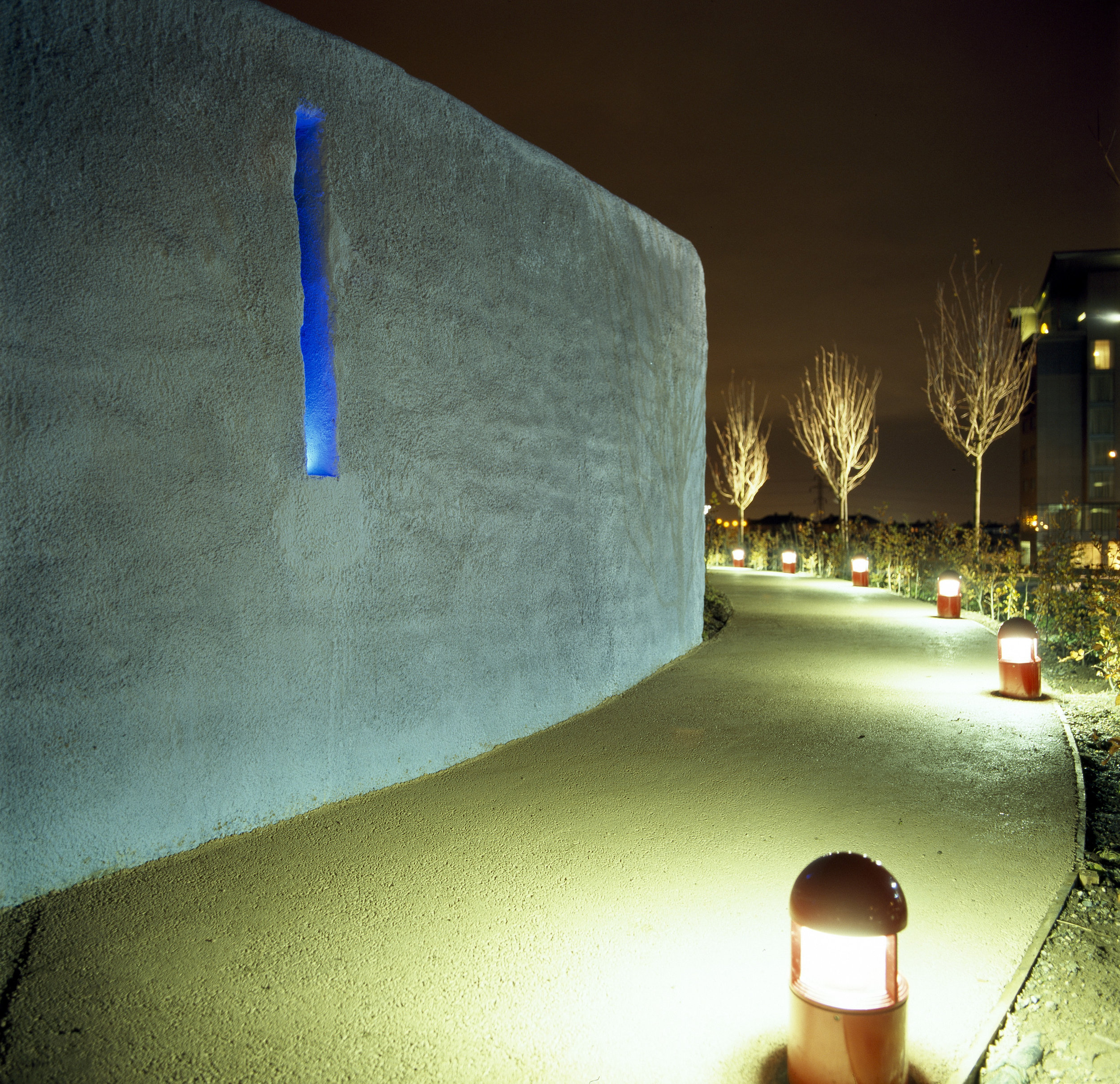 Whitelight path night.jpg