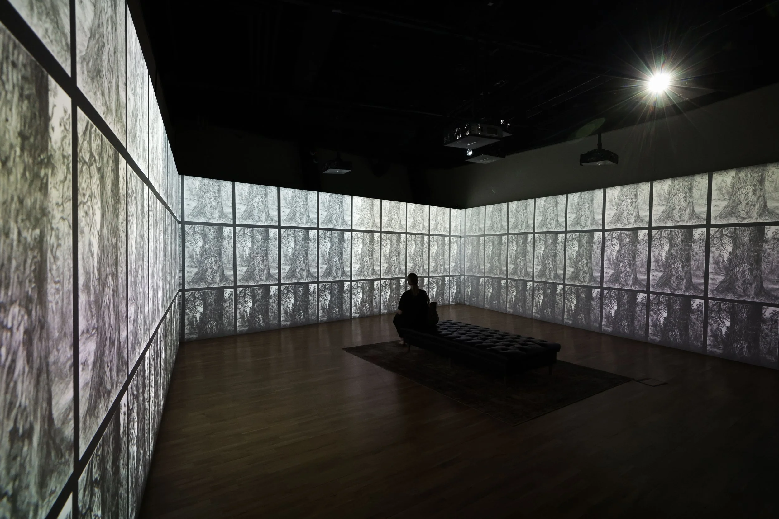 Freud exhibition with new immersive experience opens at Titanic Belfast