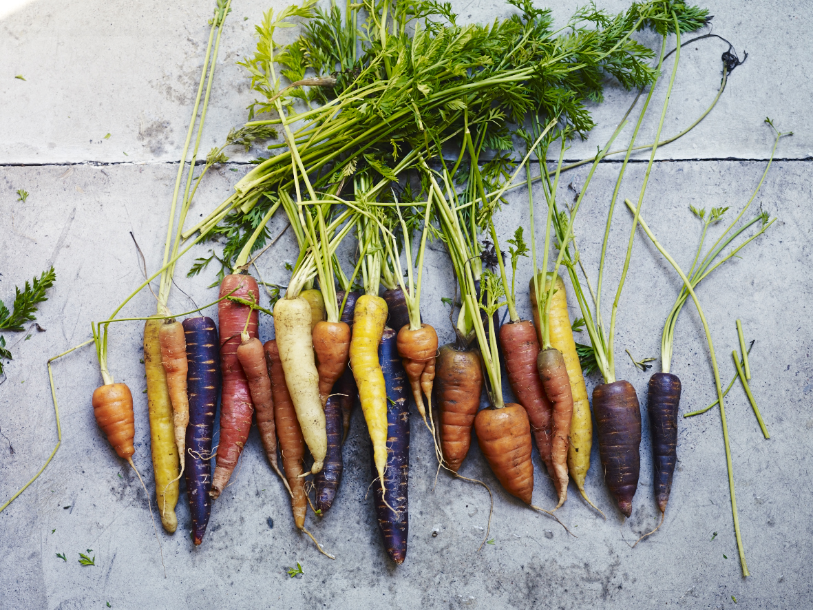 Carrots_008.jpg