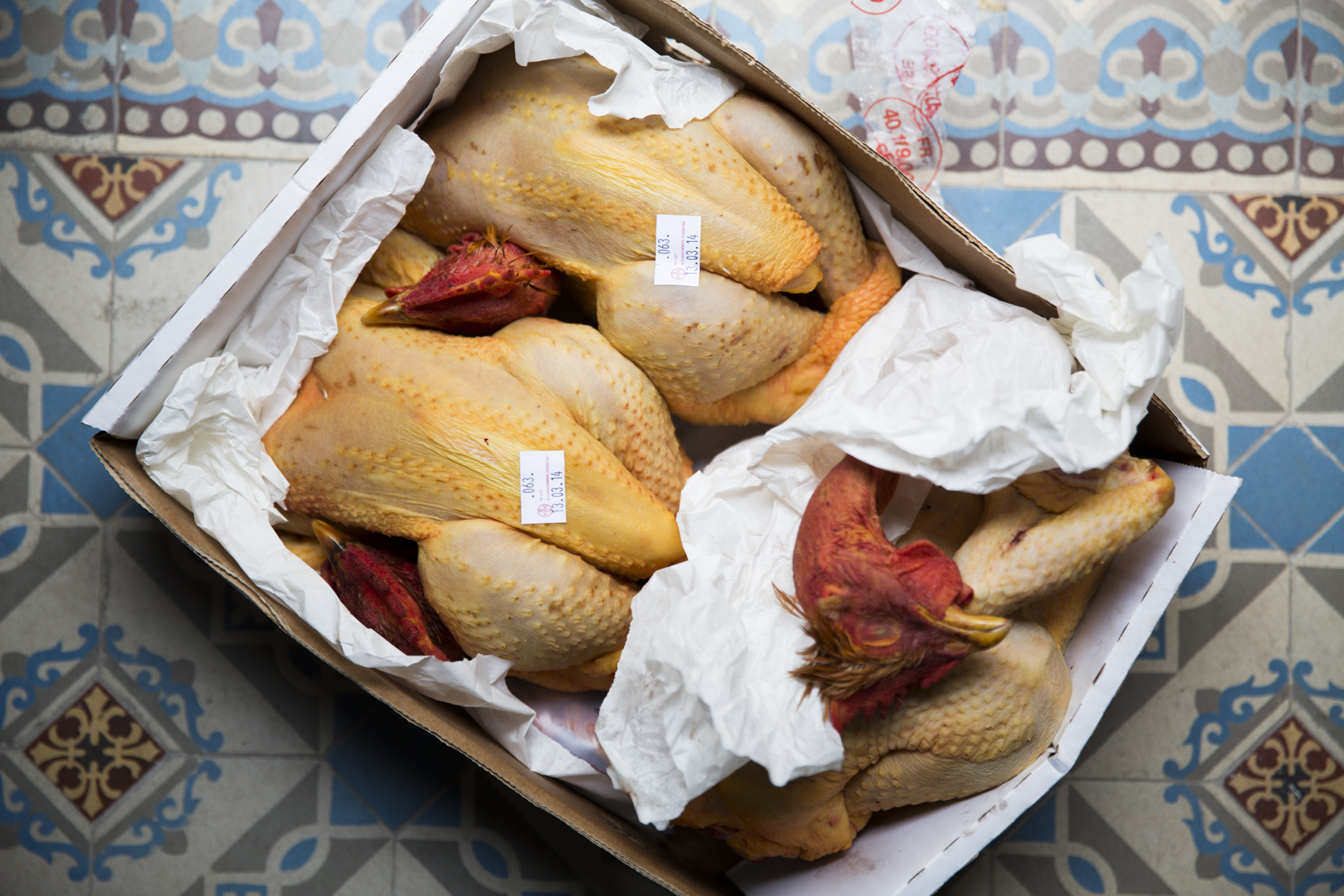 20140307-_J2A7717.jpg