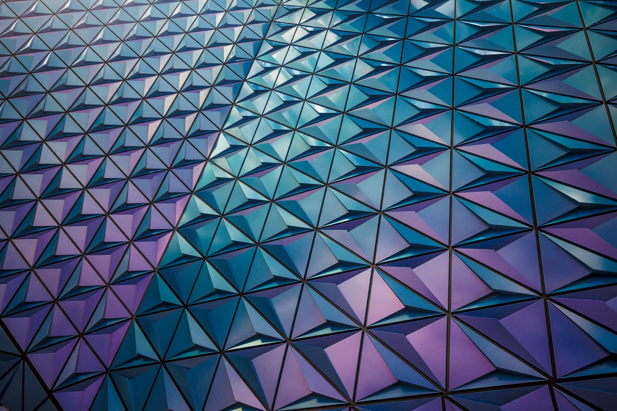 Campus_Intermediate Python skills.jpg