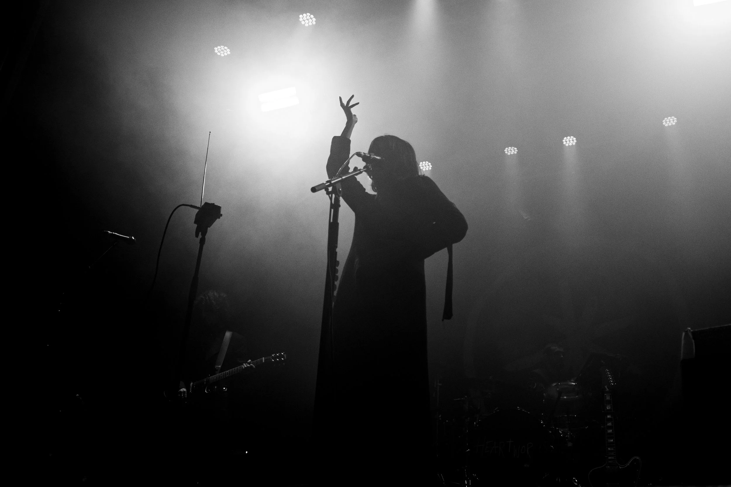 Heartworms Live - 1