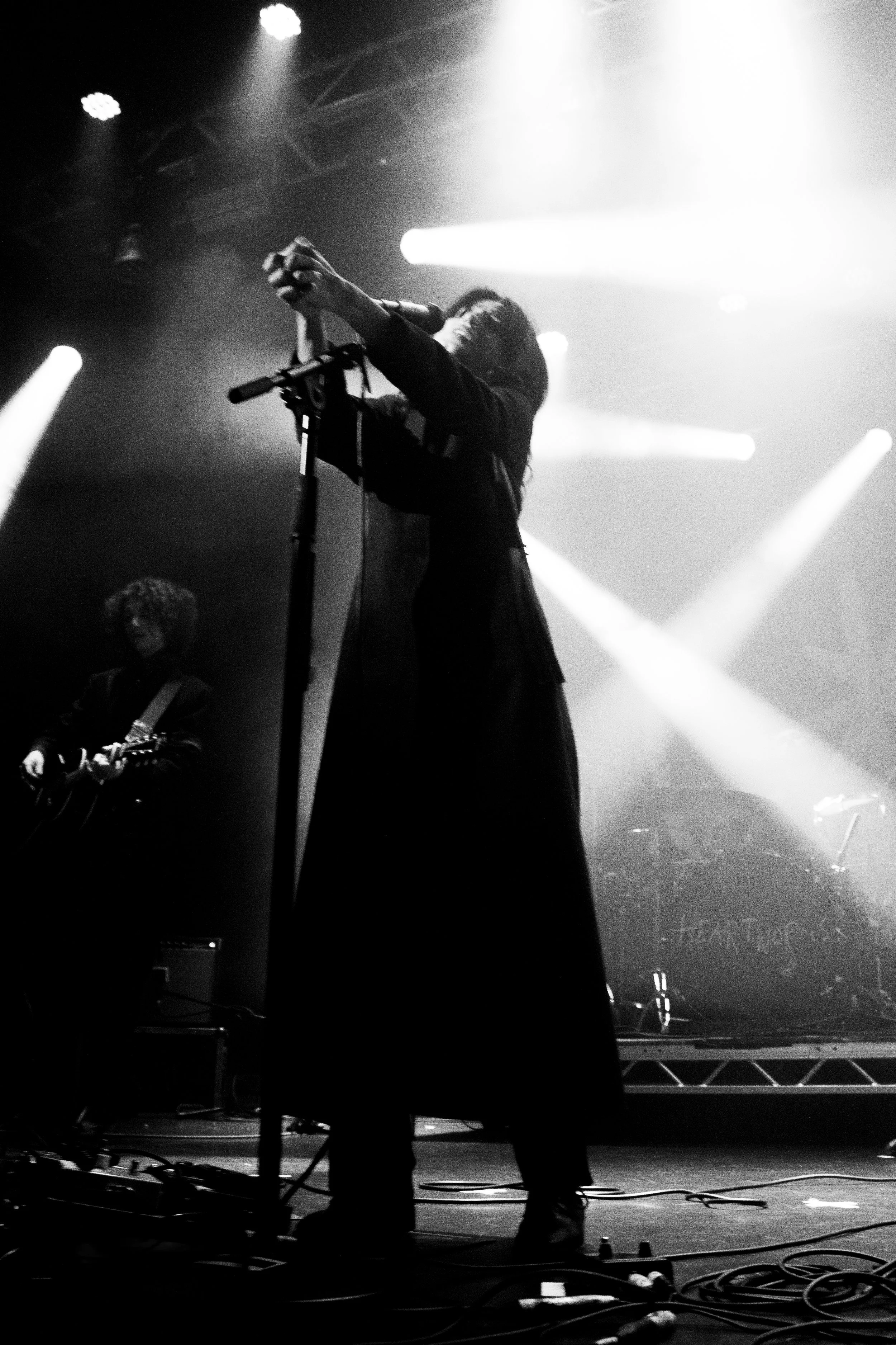 HEARTWORMS LIVE  2
