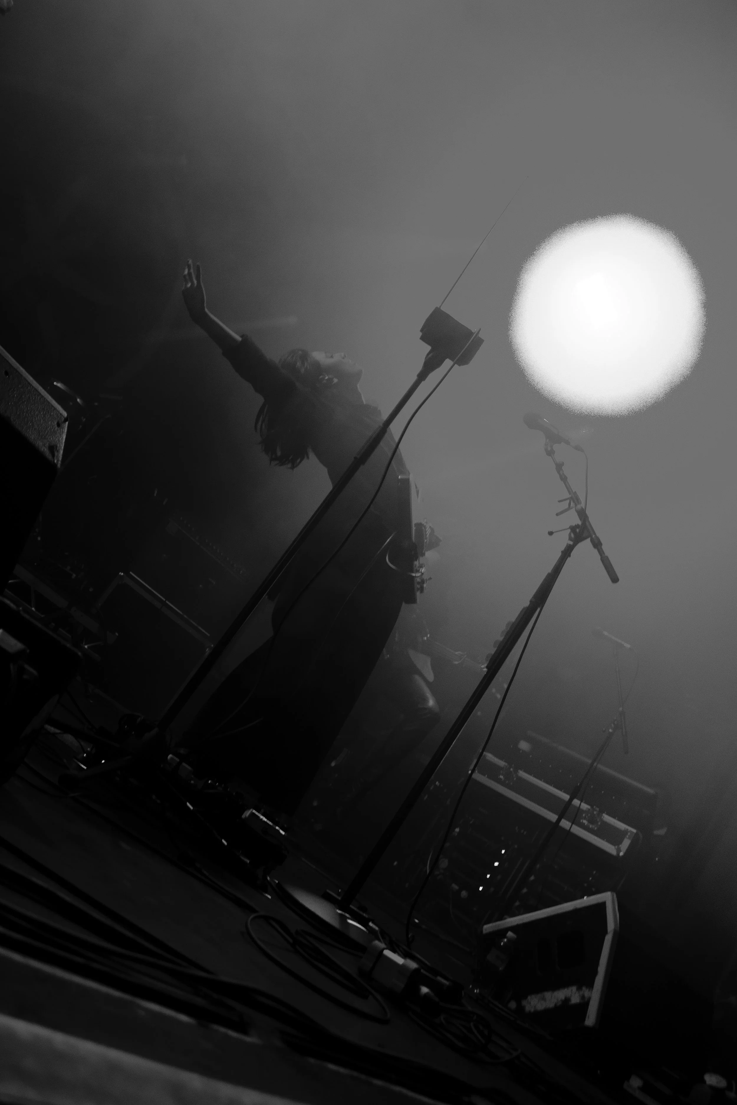 HEARTWORMS LIVE 4