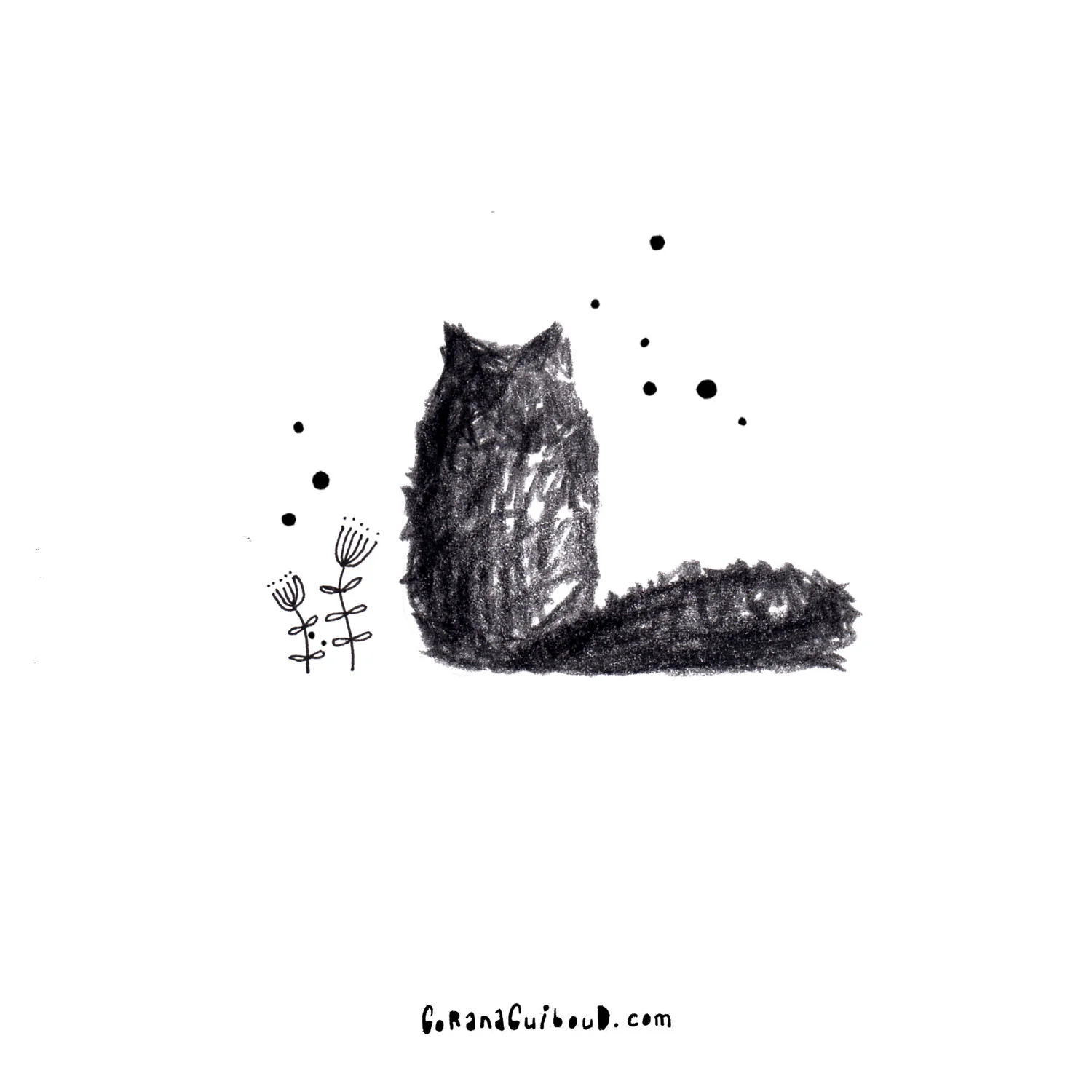 cat-#4.jpg