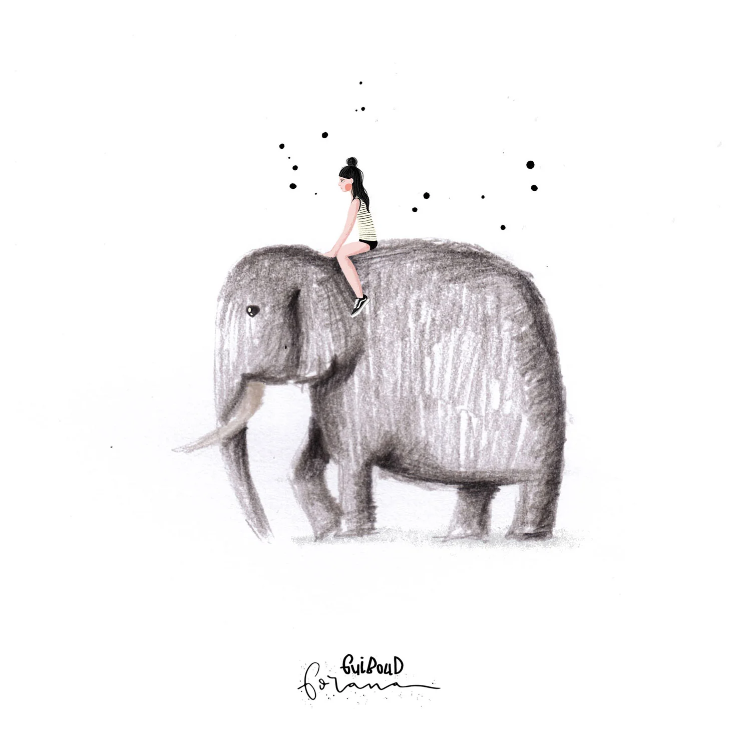 Elefant.jpg
