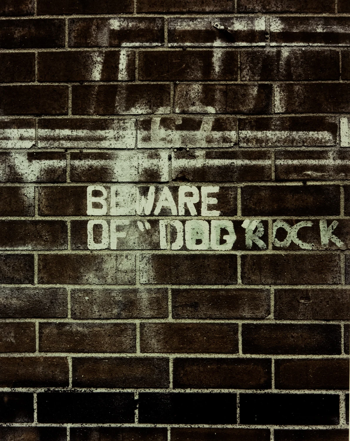 Beware of Dog Rock copy.jpg