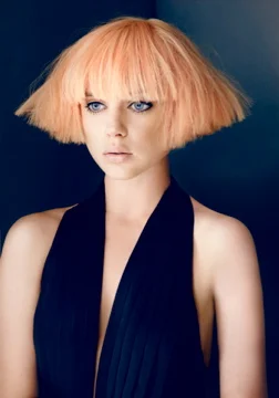 Kevin Murphy campaign