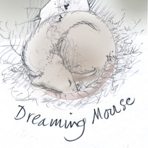 dreaming mouse sq.jpg