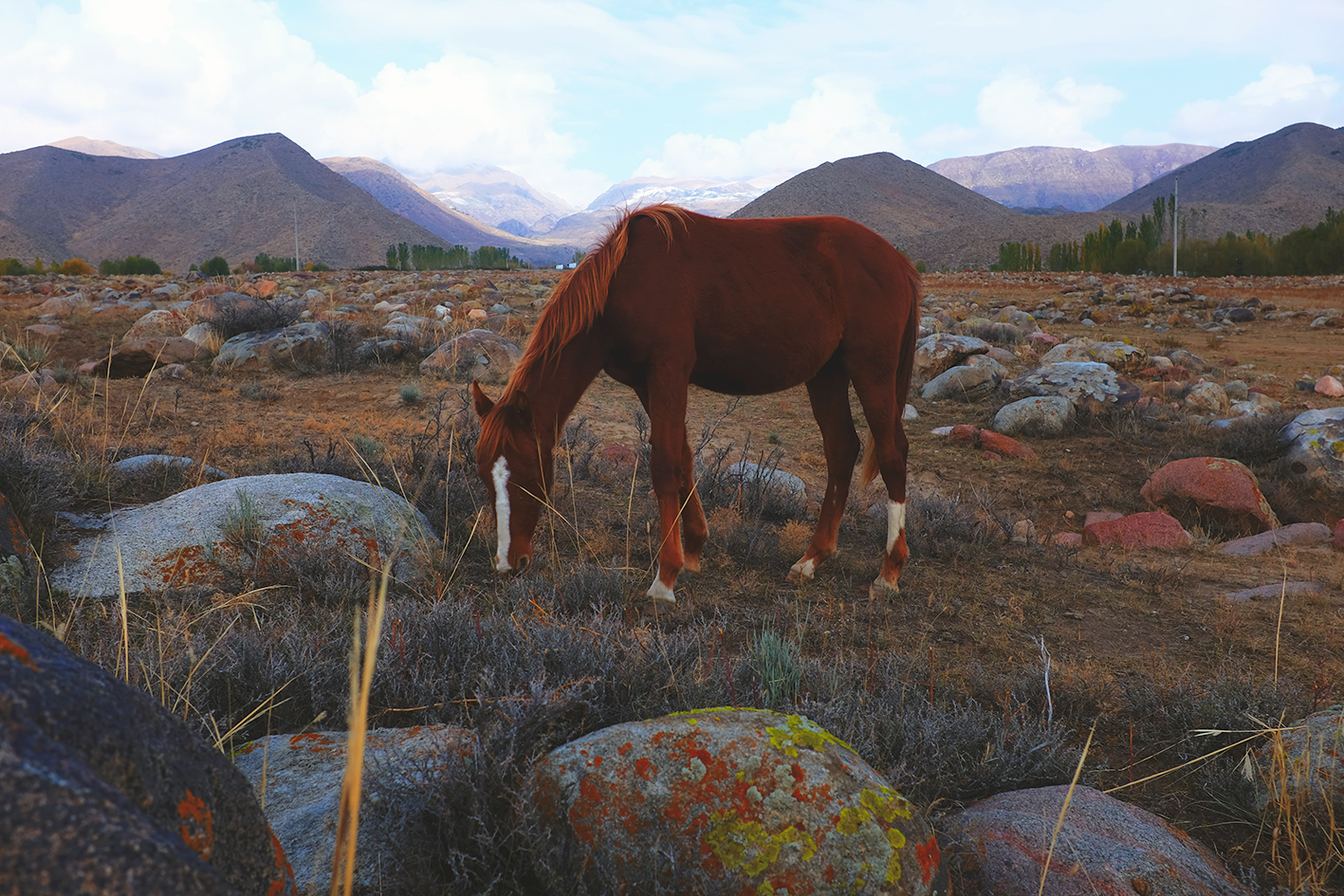Kyrgyzstan