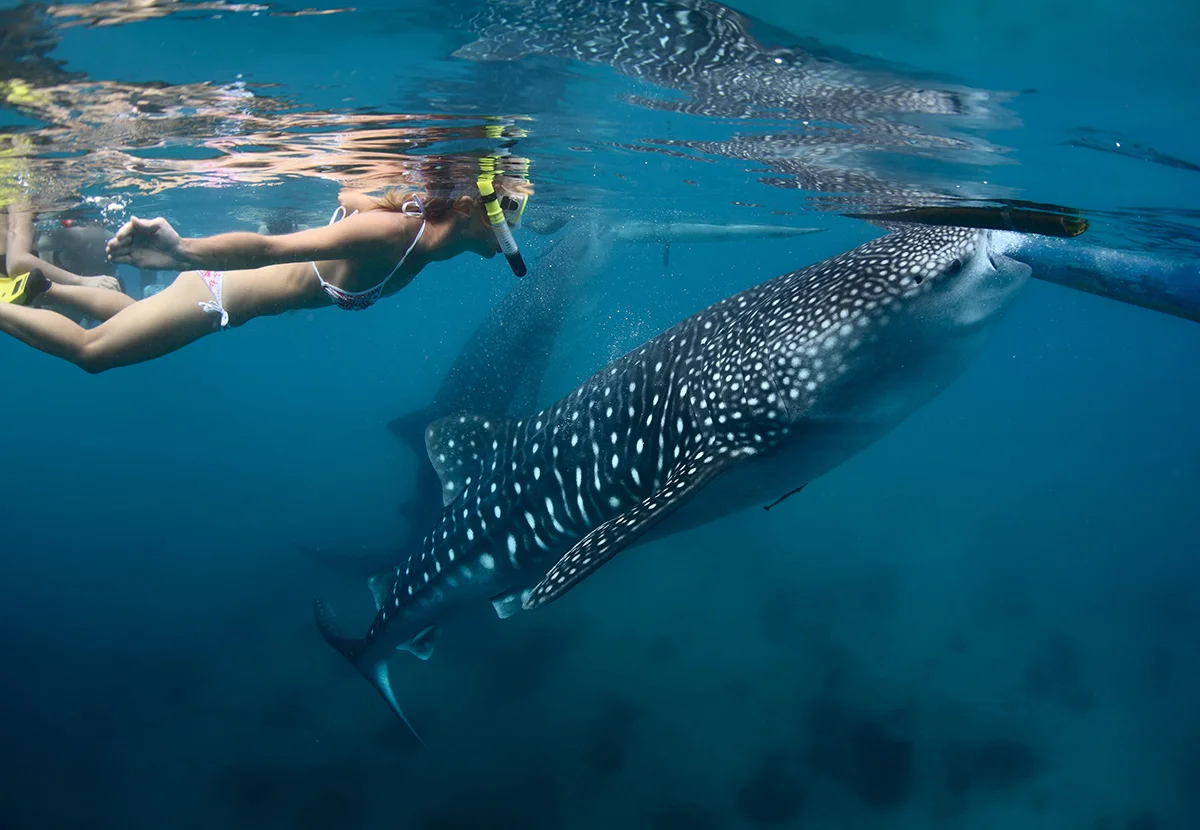 Panama has so much coastline and islands, a true pioneer’s destination…