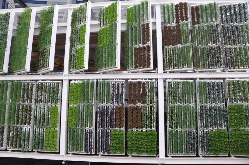 Vertical farm exhibition in Milan, 2015. Source: IIP Campaigns & Initiatives/ Flickr