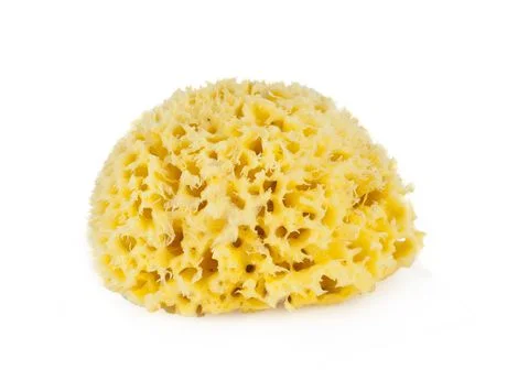BELLINI NATURAL SEA SPONGE HONEYCOMB SMALL.jpg