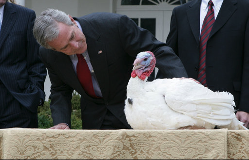 President George W. Bush offers an official pardon to May