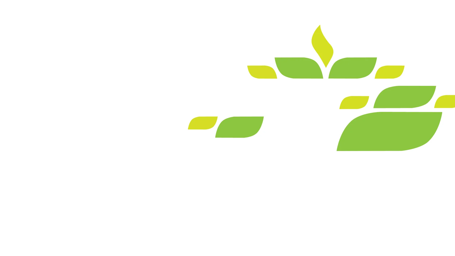 Banner_Leaves_4.jpg