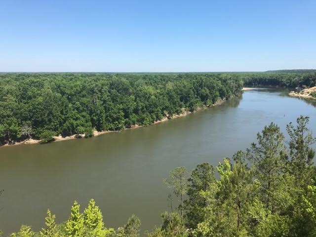 The view from Alum Bluff. Photo by Rob Williams