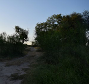 I hiked down this old trail, strewn with water bottles and caches of supplies for crossing migrants.
