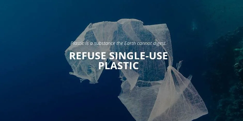 Single Use Plastic and Strategies to Reduce Waste