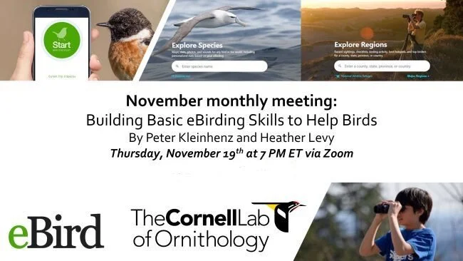 Building your eBirding Skills to Help Birds