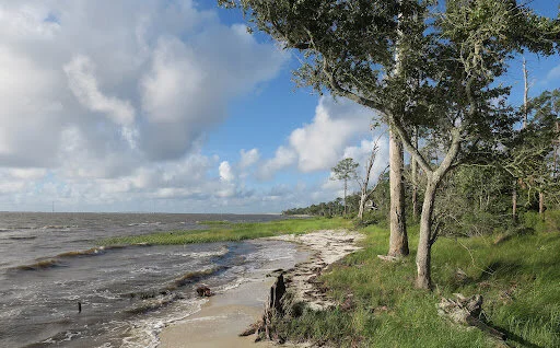 2025 International Coastal Cleanup in Franklin County