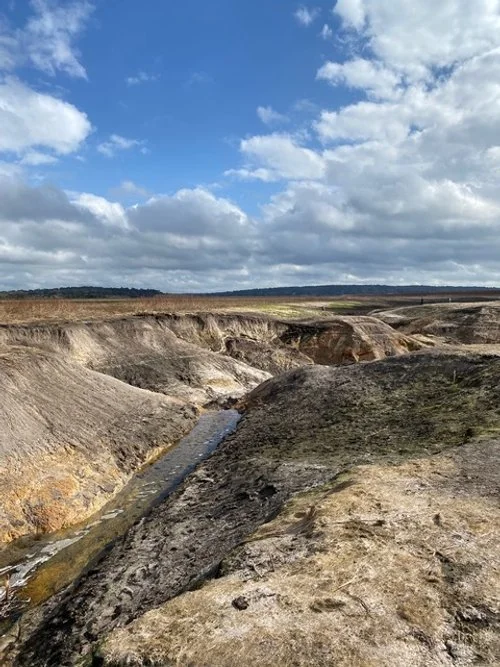 Birding Social at Faulk Drive Landing