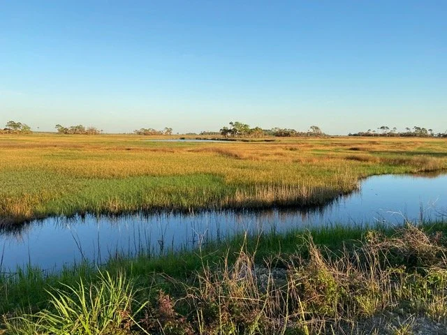 Spring Migration at Hickory Mound