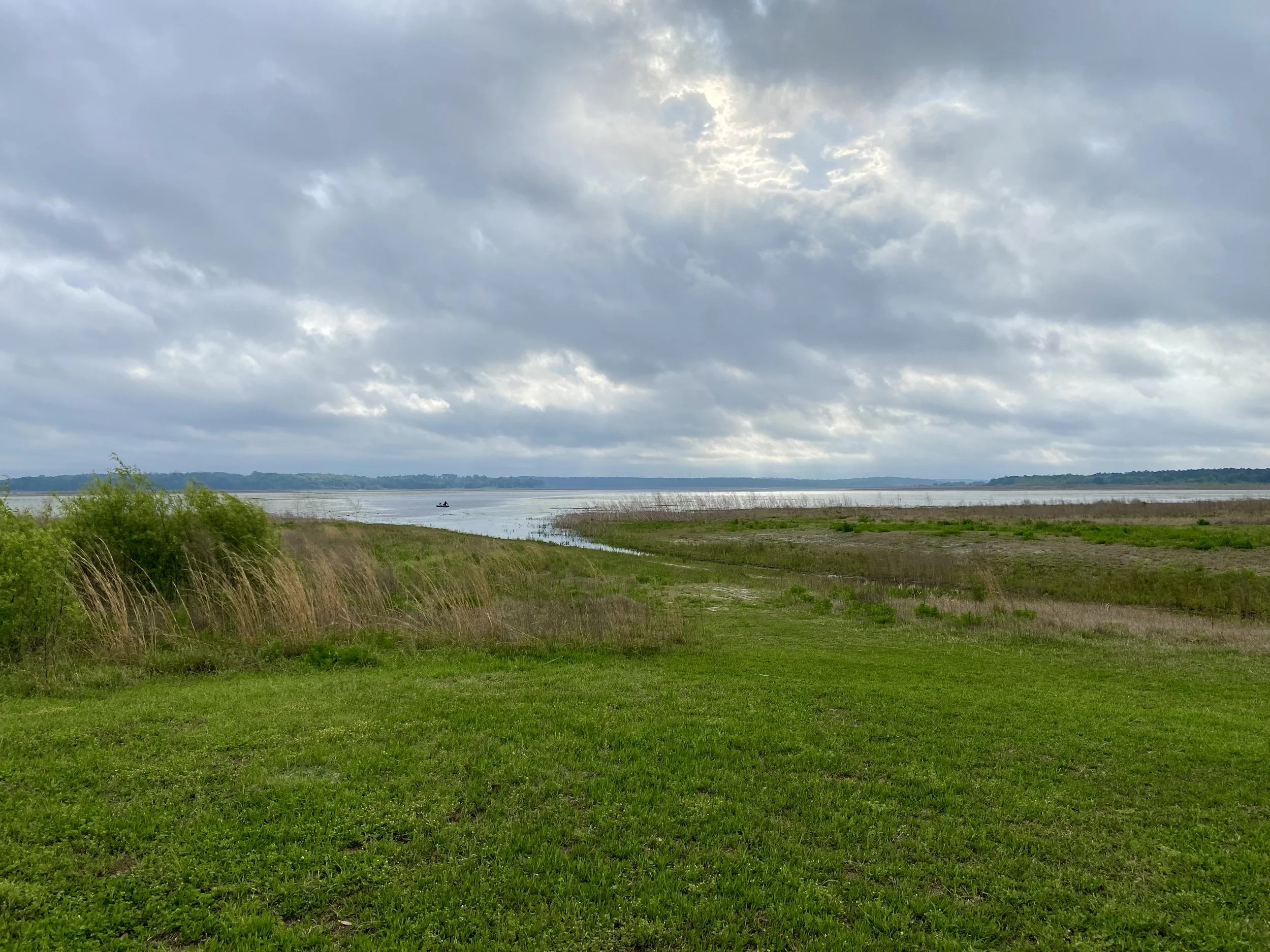Guided Bird Walk: Fall Migrants at Faulk Drive Landing