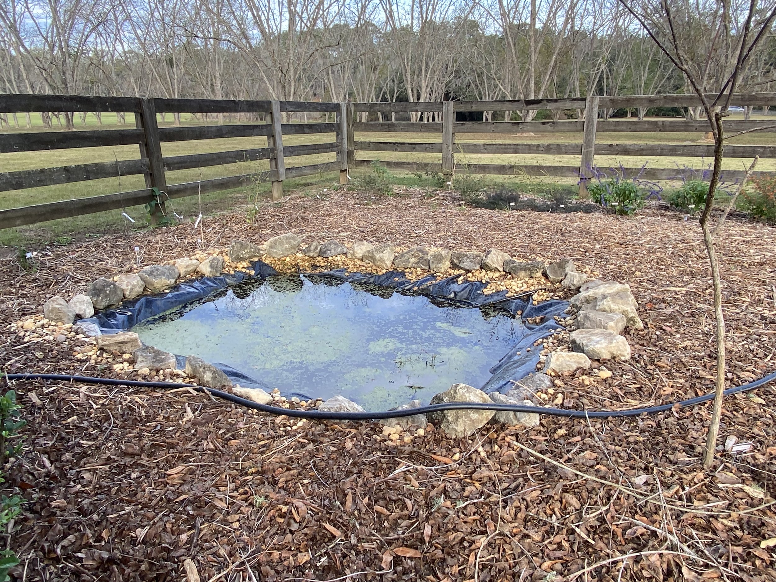 A small pond provides water for wildlife.