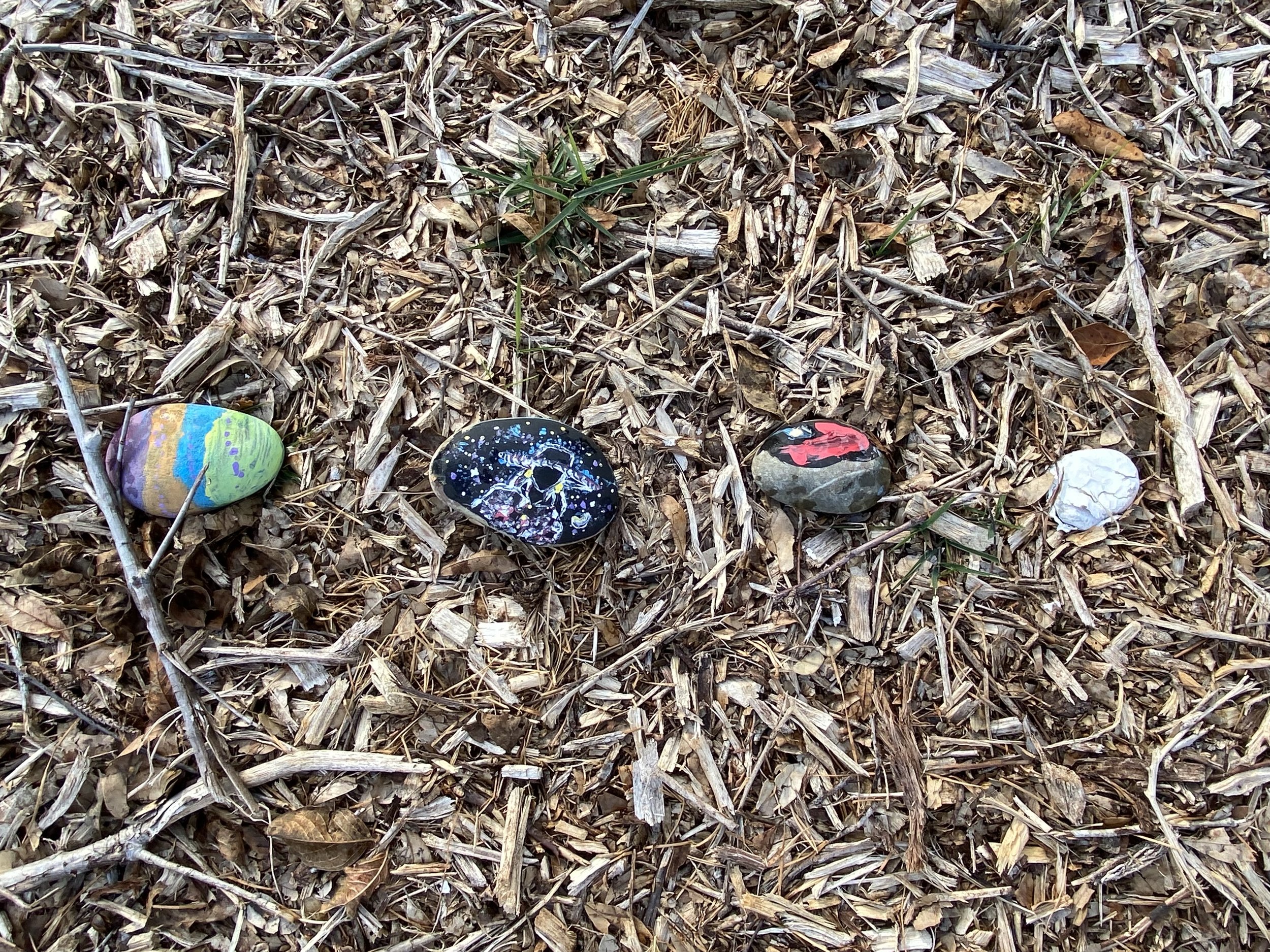 Rocks painted by 4H students border the plantings