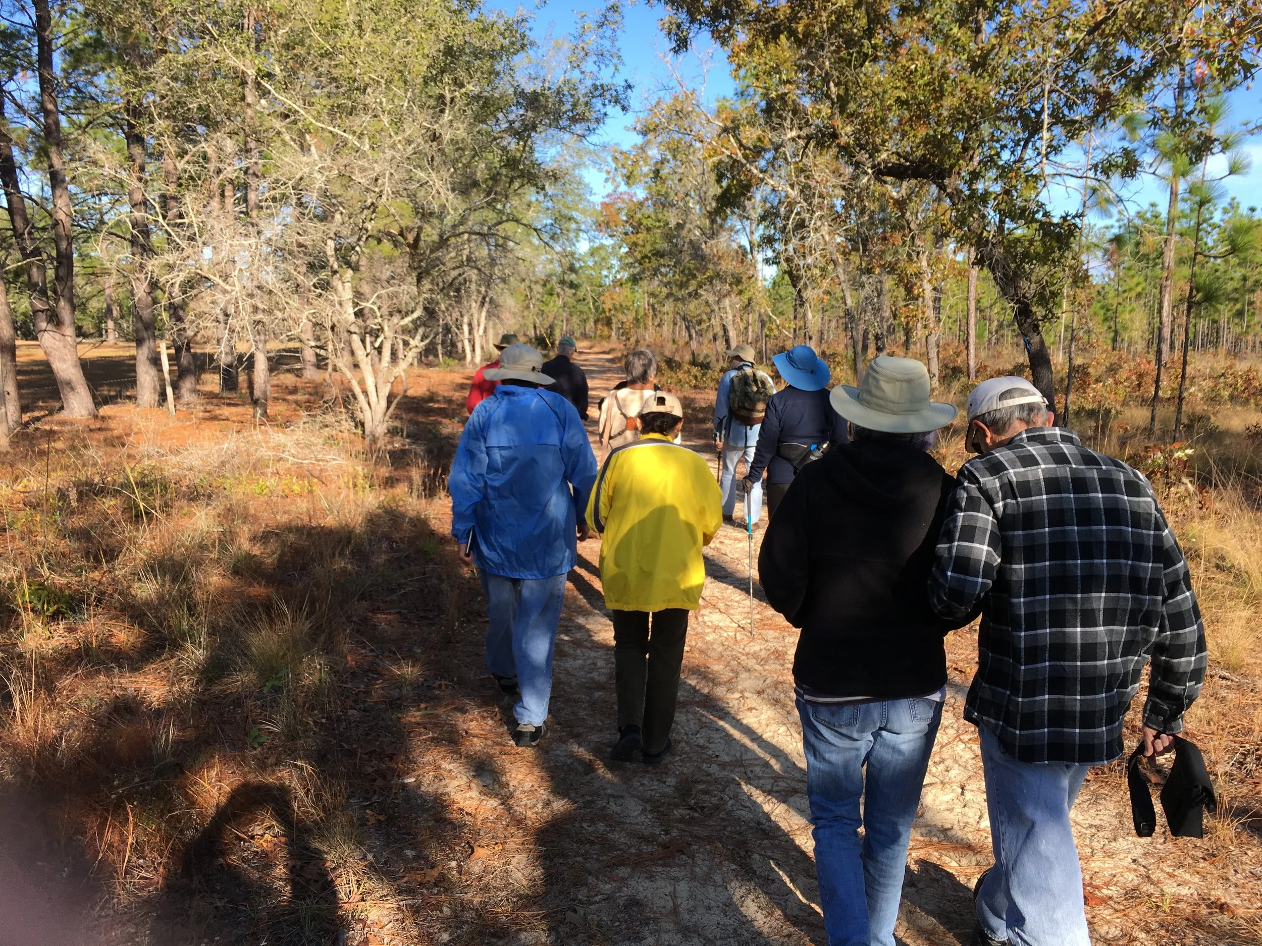 New Years Birding Social at Apalachicola Bluffs and Ravines Preserve - Garden of Eden Trail