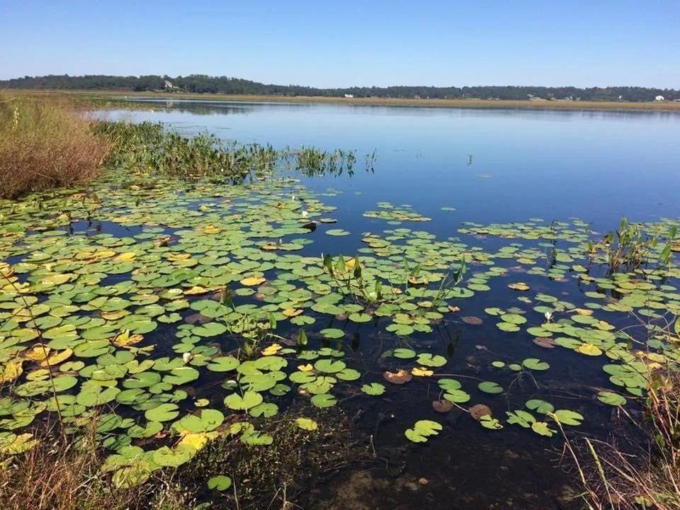 Mythbusting and Breambusting 