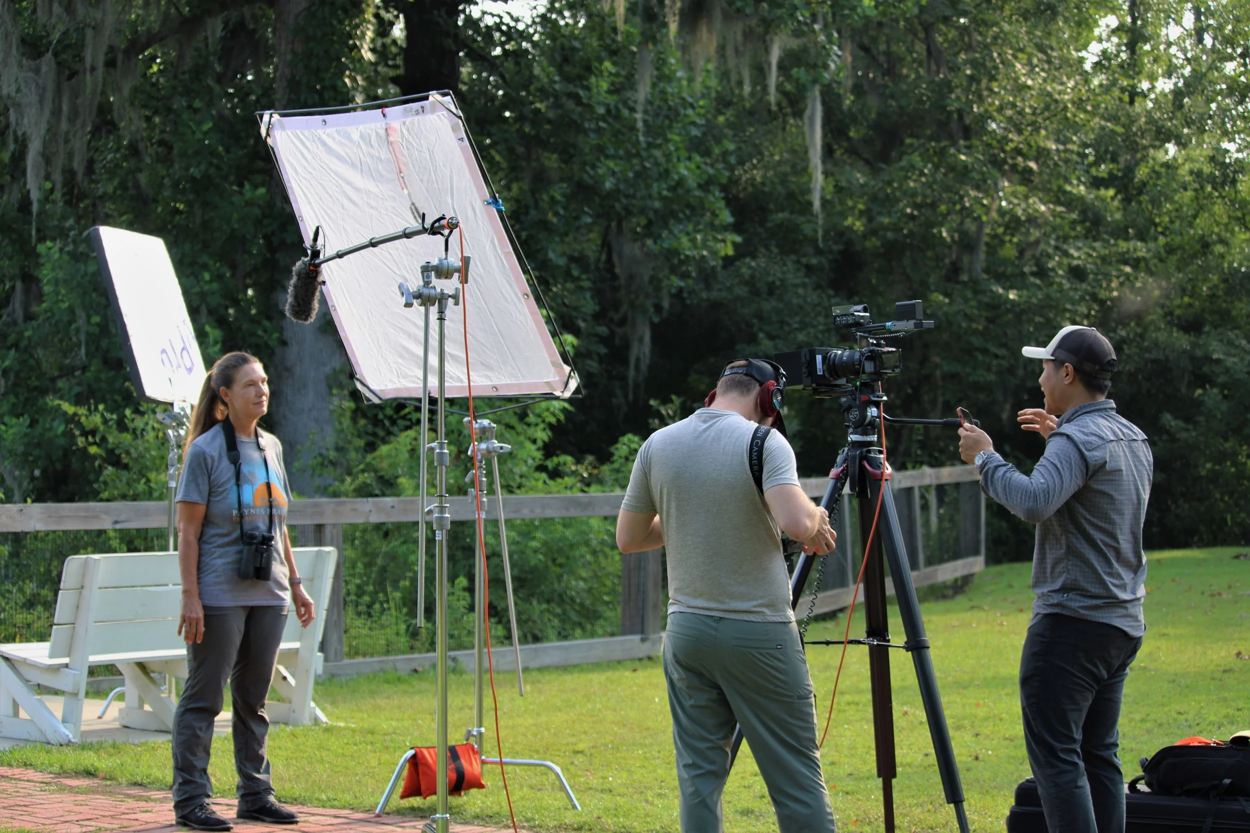 Lights, Camera, Birding!