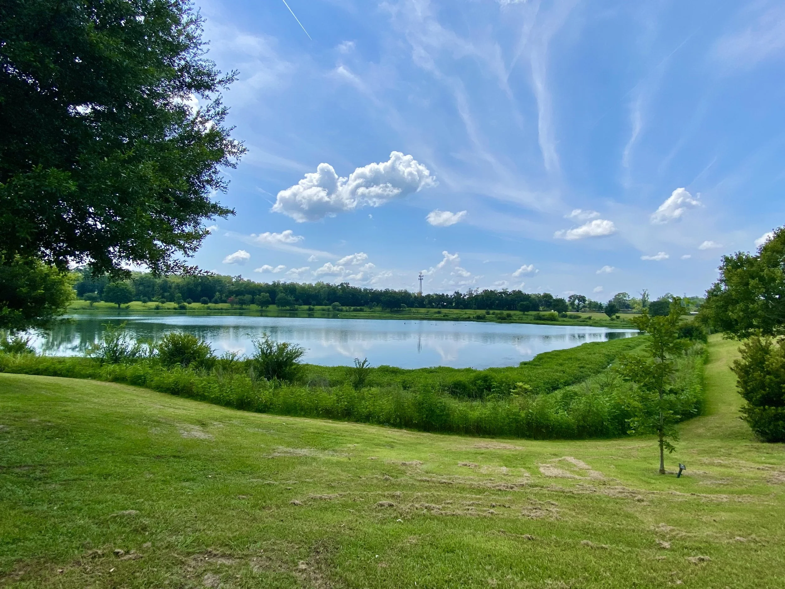 Lake Elberta Park November Trash Clean-up