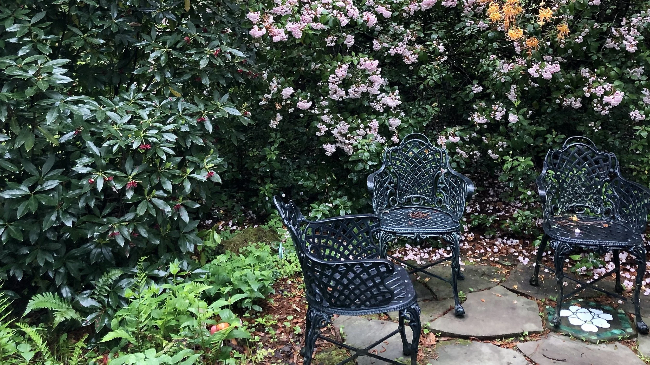 Design with Nature:  Ecological Landscaping, with Jody Walthall