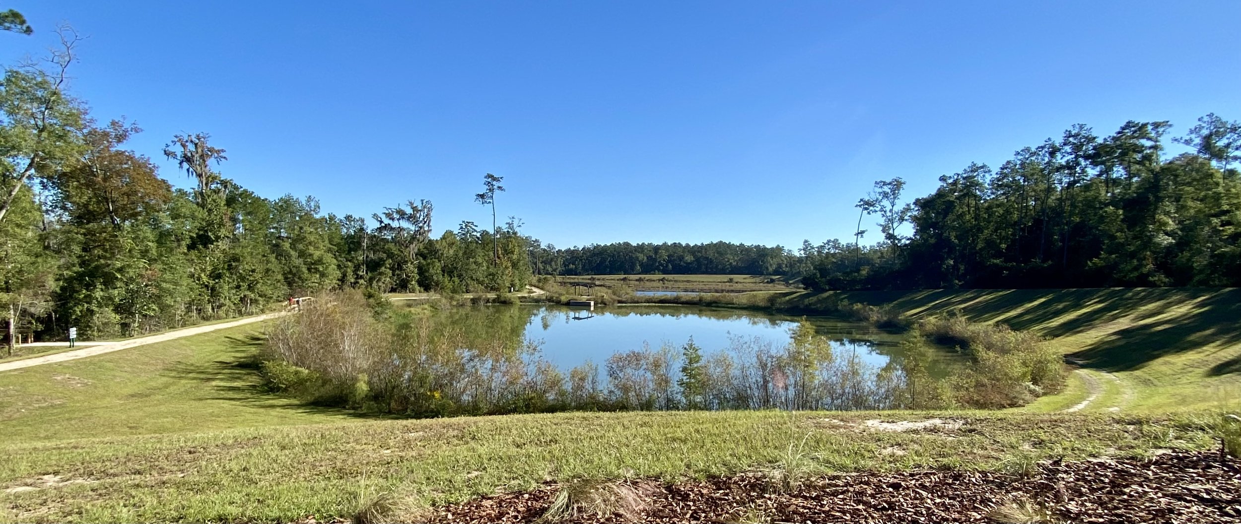 Debbie Lightsey Nature Park and Golden Aster Trail, with Juli deGrummond