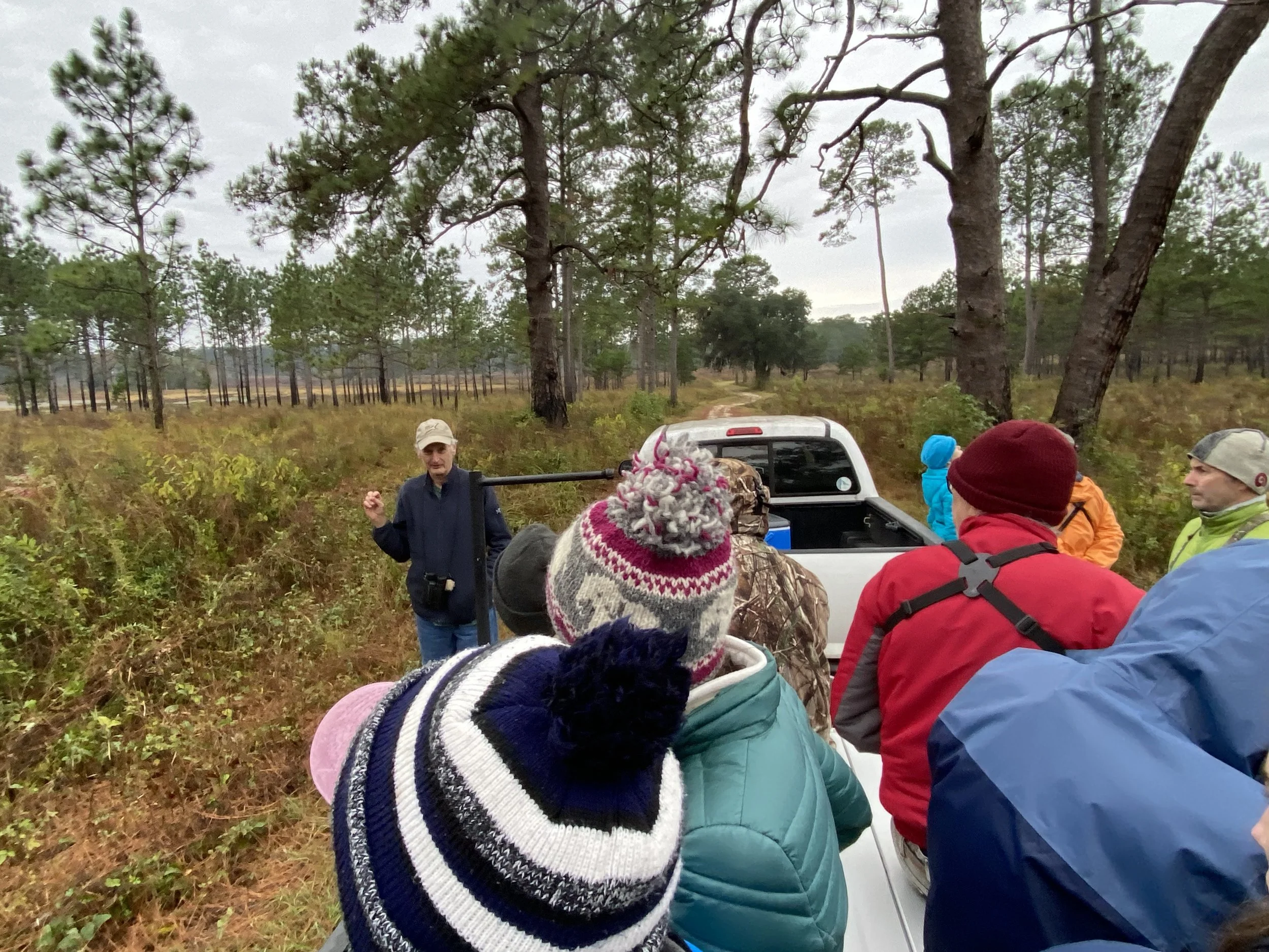 Tall Timbers, with Jim Cox