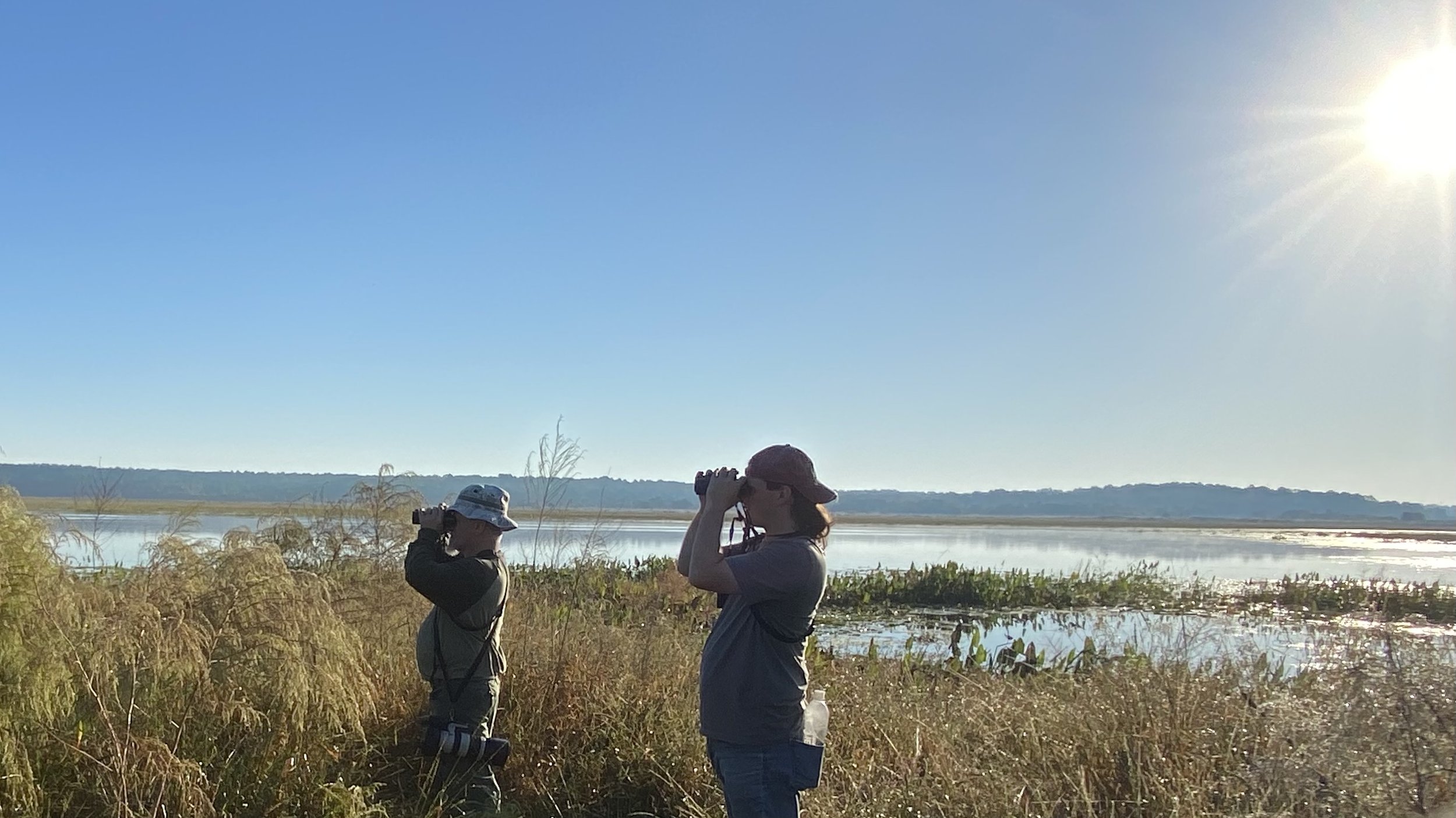 Guided Walk at Jackson View Park, with Juli deGrummond
