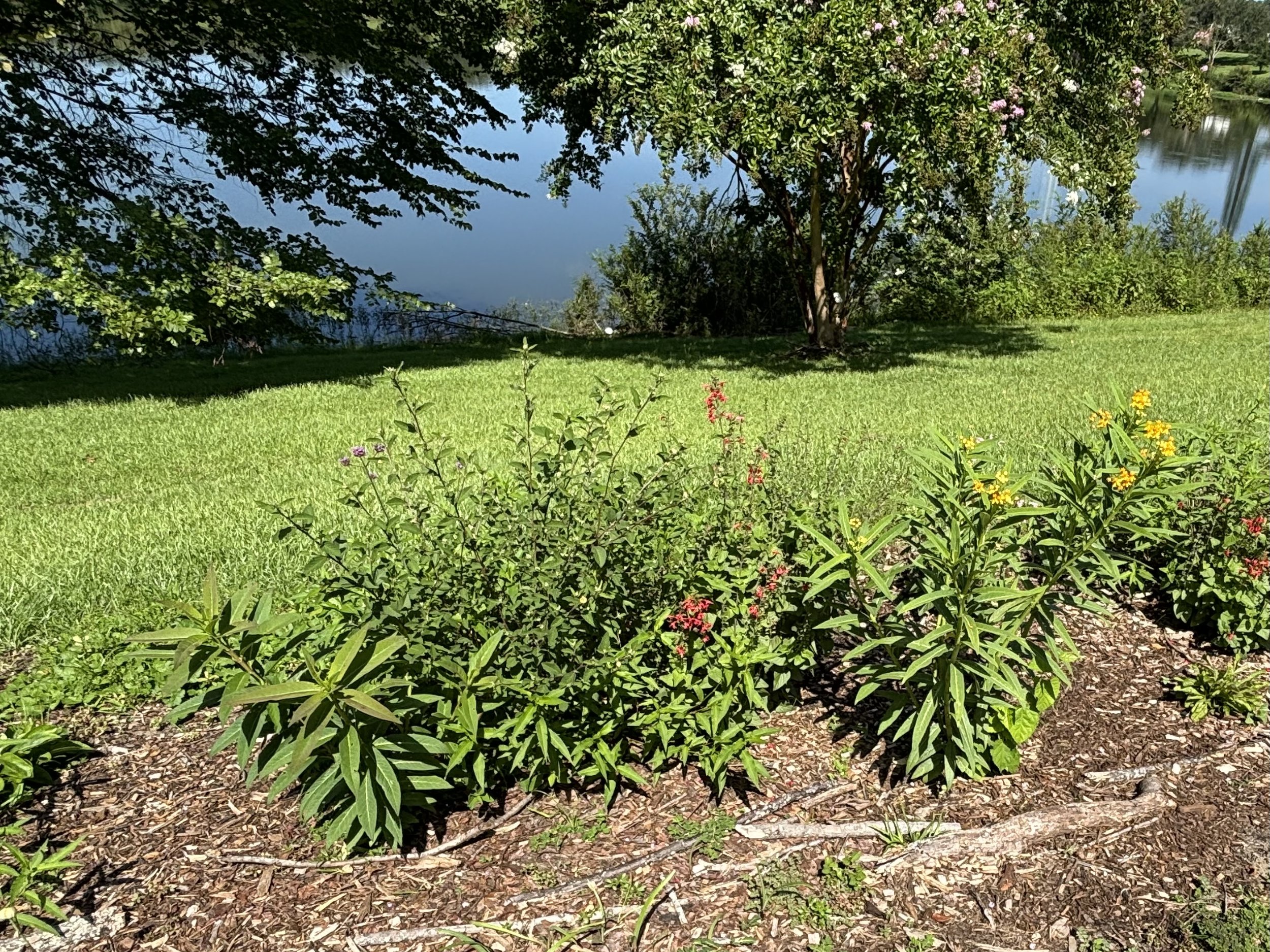 East Pollinator Garden, LEP-02.jpeg