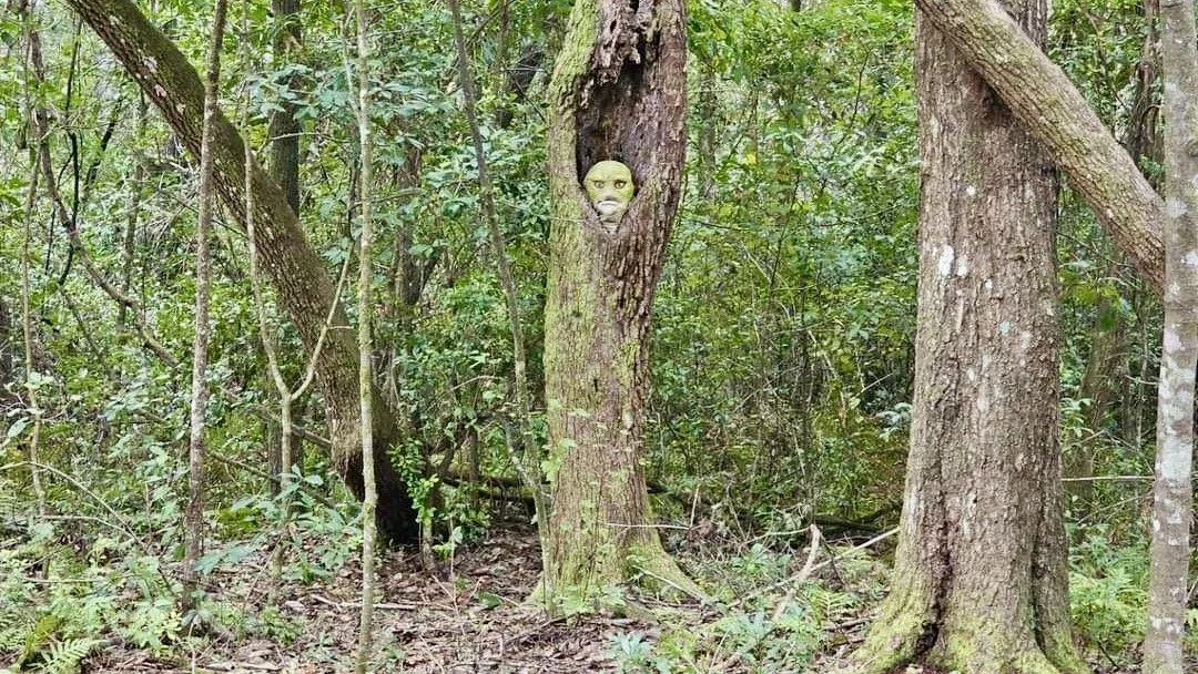 Guided Bird Walk: Miccosukee Land Co-op